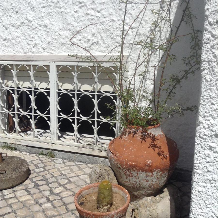 Casa Dos Cedros Casa de hóspedes Setúbal Exterior foto