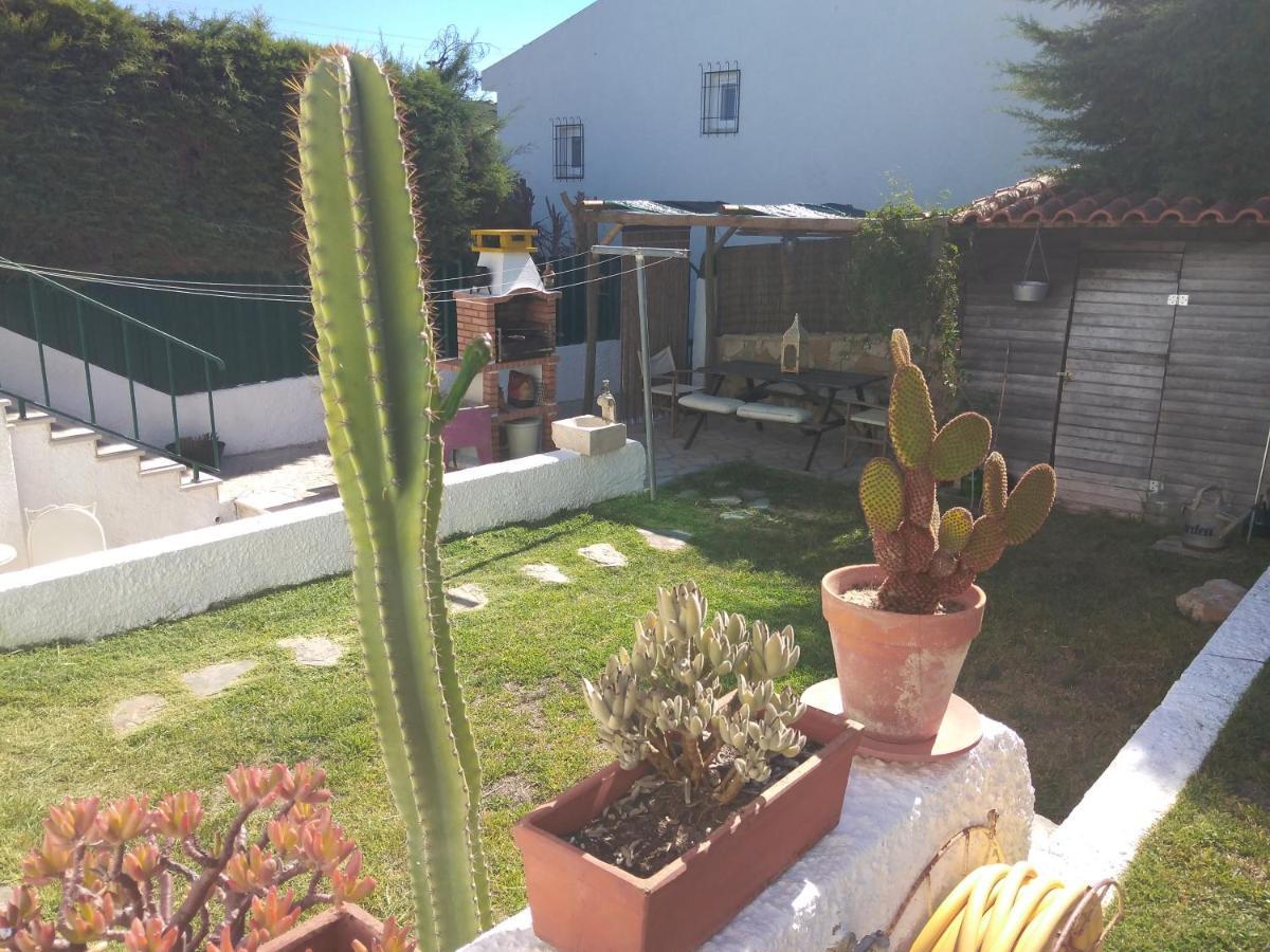 Casa Dos Cedros Casa de hóspedes Setúbal Exterior foto